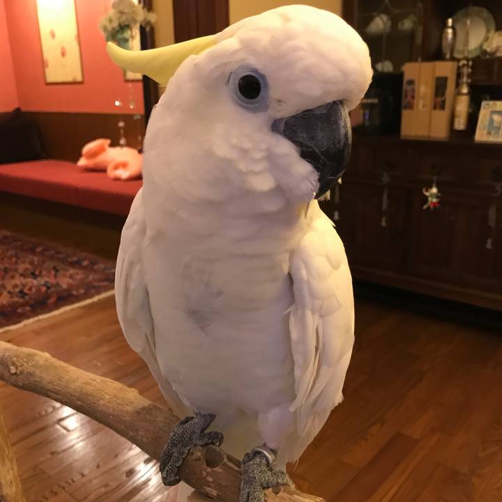 Cab46fe5 c682 4da3 94b0 e2da188efb61