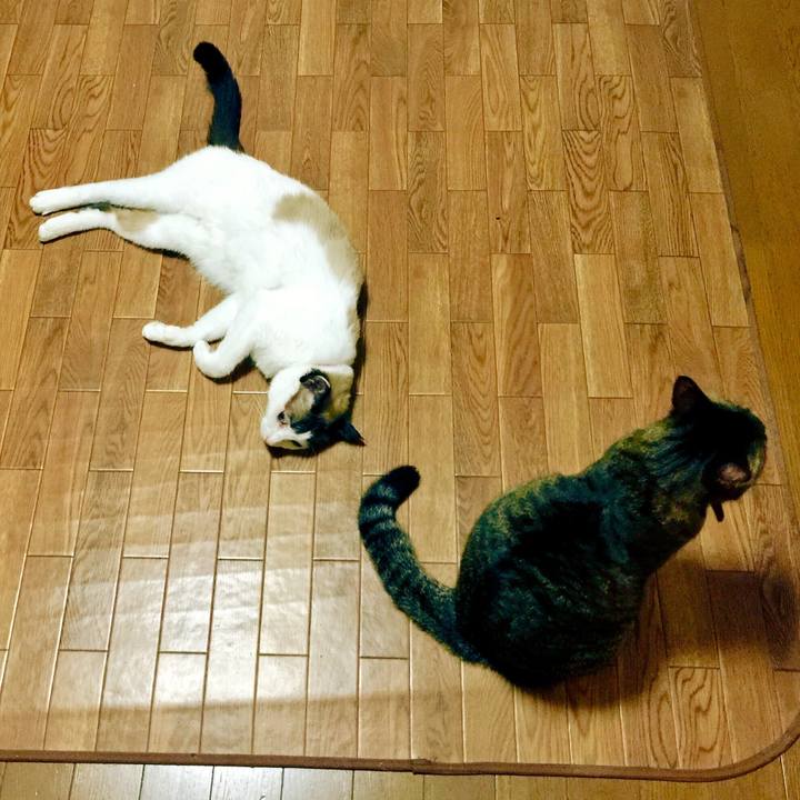 Cab48fc0 5614 4588 841b 7ff867cb06e9