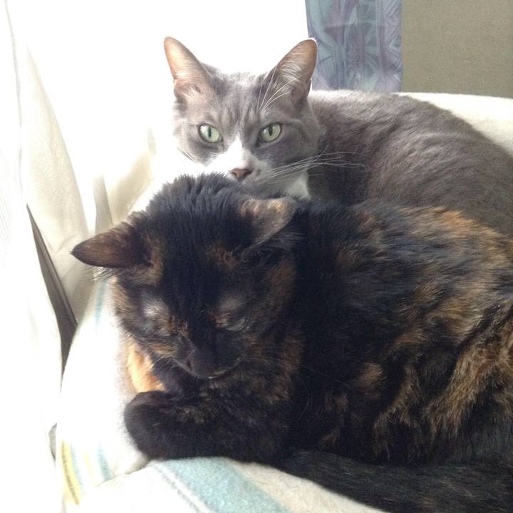 Cab76a79 5c81 488c adc5 5dca57d622dd