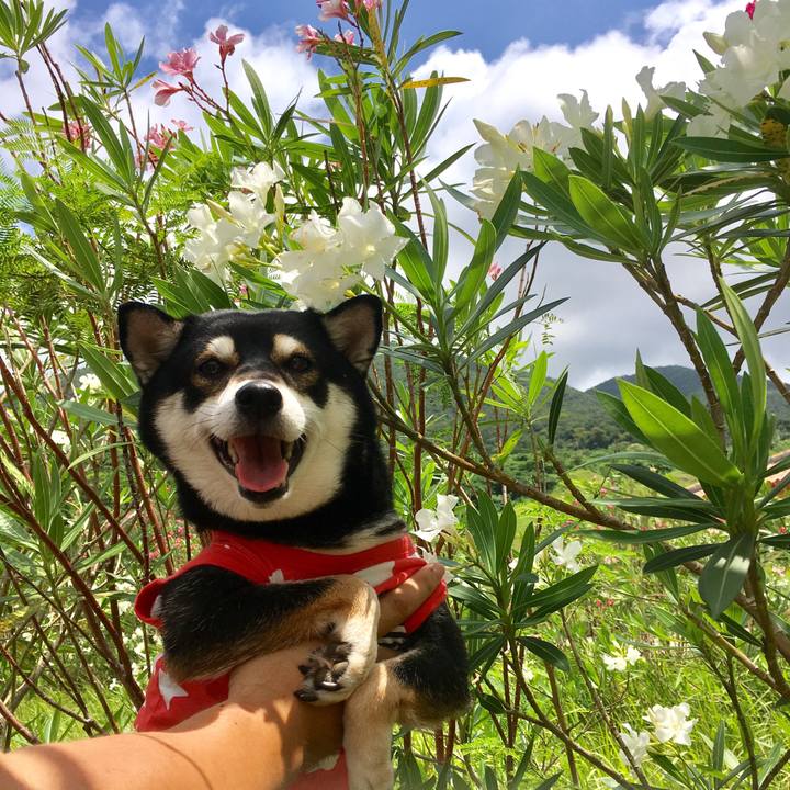 Cab7960f 9cdf 4656 ab87 e1894f57ddd4