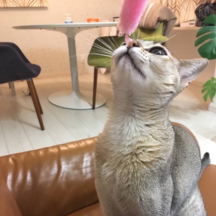 Cab79cb6 ff7d 480b a620 400d22bf3f92