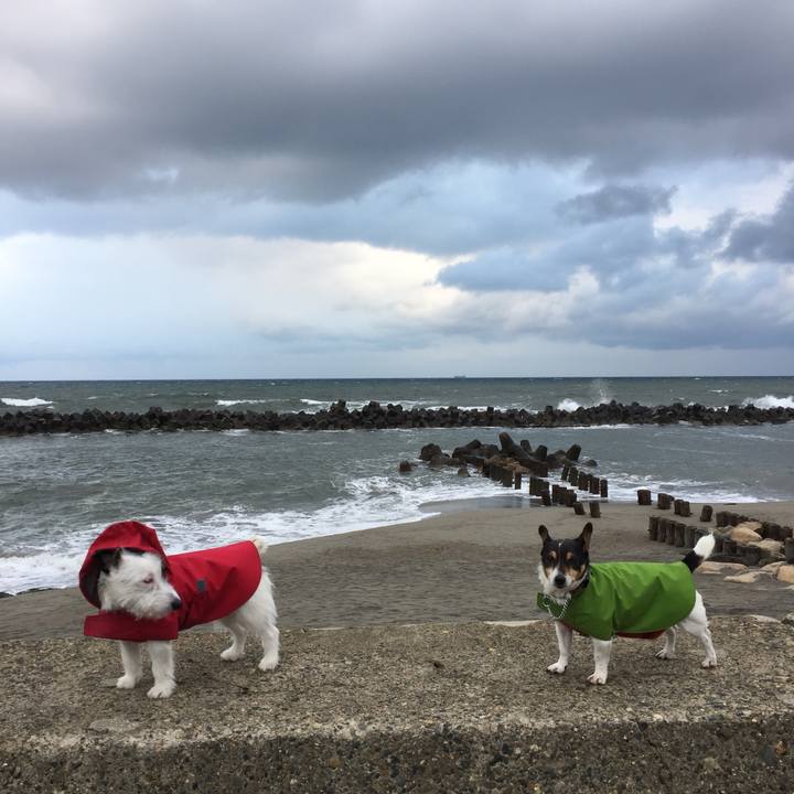 Cab7c81a 0260 4b07 9160 0541014c9793