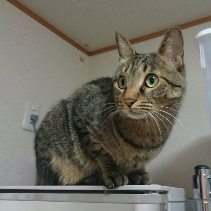 Cab8378d 92c8 4fdb a2ce d79280671ef3