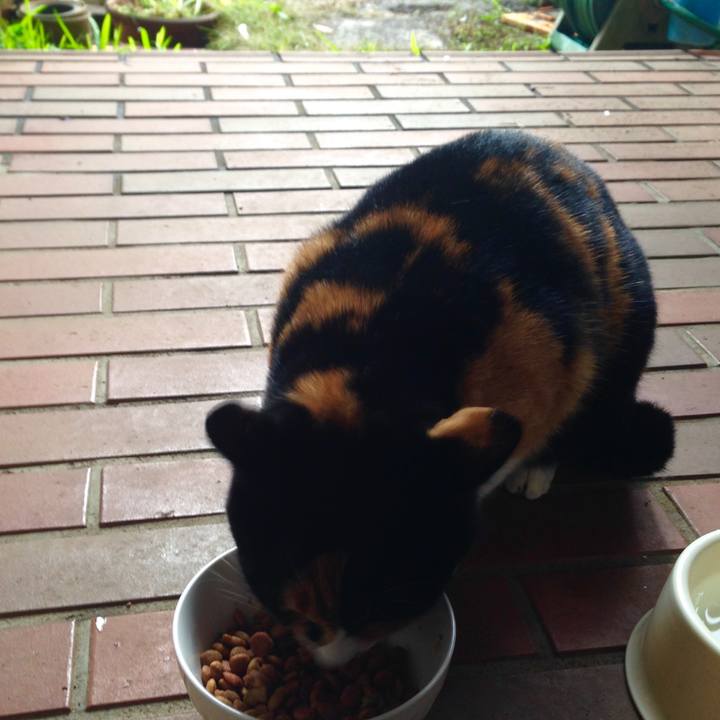 Cab89e6a d46a 446c ba20 dd8162ed509e