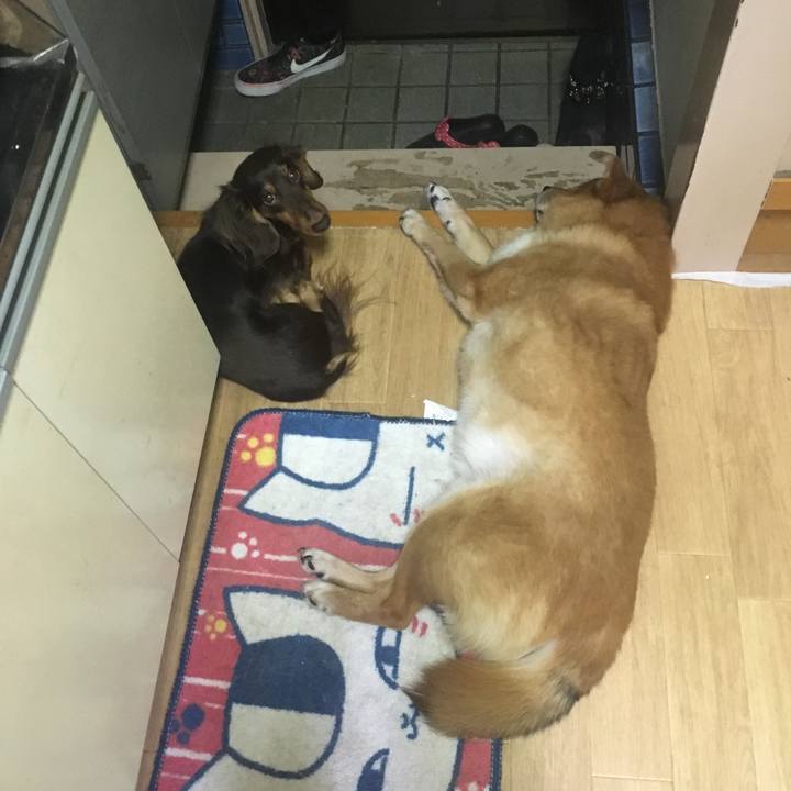 Cab8ad56 4c7a 437c b8a0 0518b8da972b