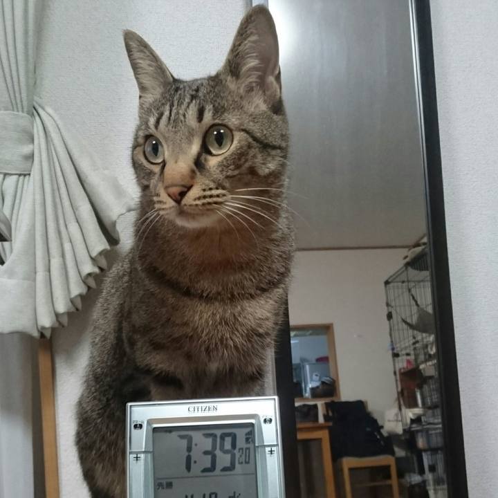 Cab8be50 6900 482e 9d5f b59571bbabde