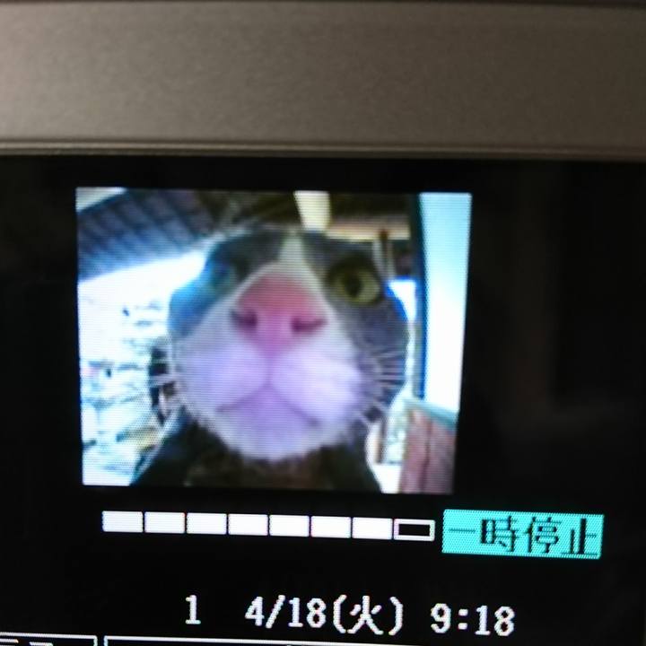 Cab8ff1a d4da 4286 aa5e a6604ea197d0