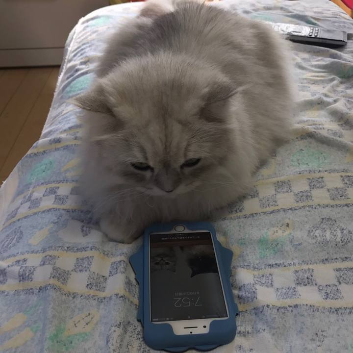 Cab98e3f ce64 46d3 84f2 47d5bccc488e