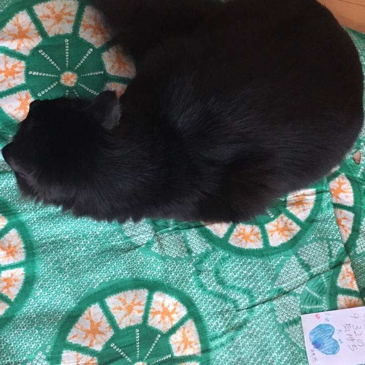 Cab9c1d7 a235 44e6 9bec e055b1acbc30