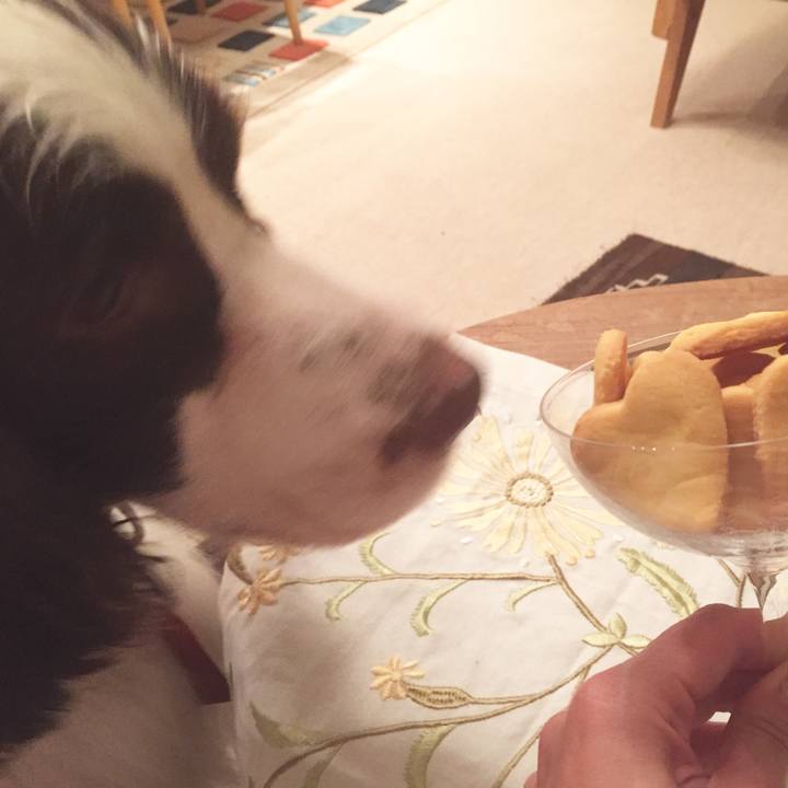 Cab9cdb1 f276 4f23 b9bd ea4b2c534d38