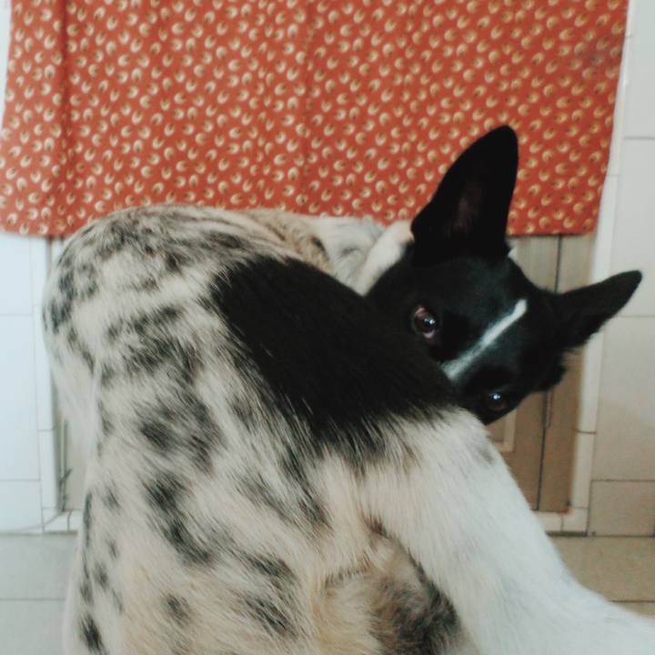 Caba266b 2f36 4cc9 8147 d89f7e548f03