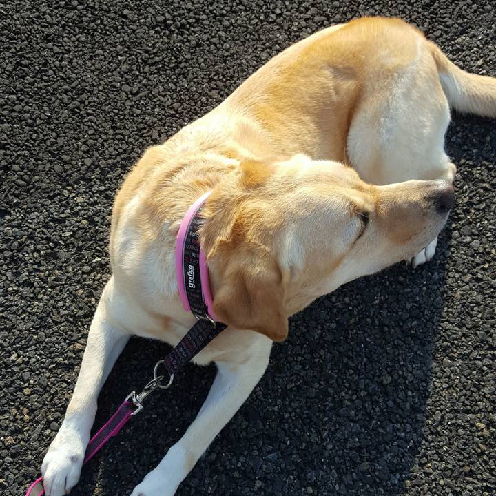 Caba6f7f c02c 4d49 a898 3189598424cd