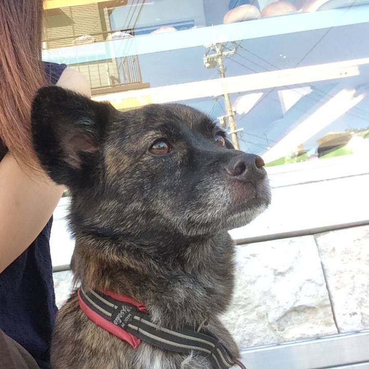 Cabac270 cc6f 4209 8889 38359422ab1b