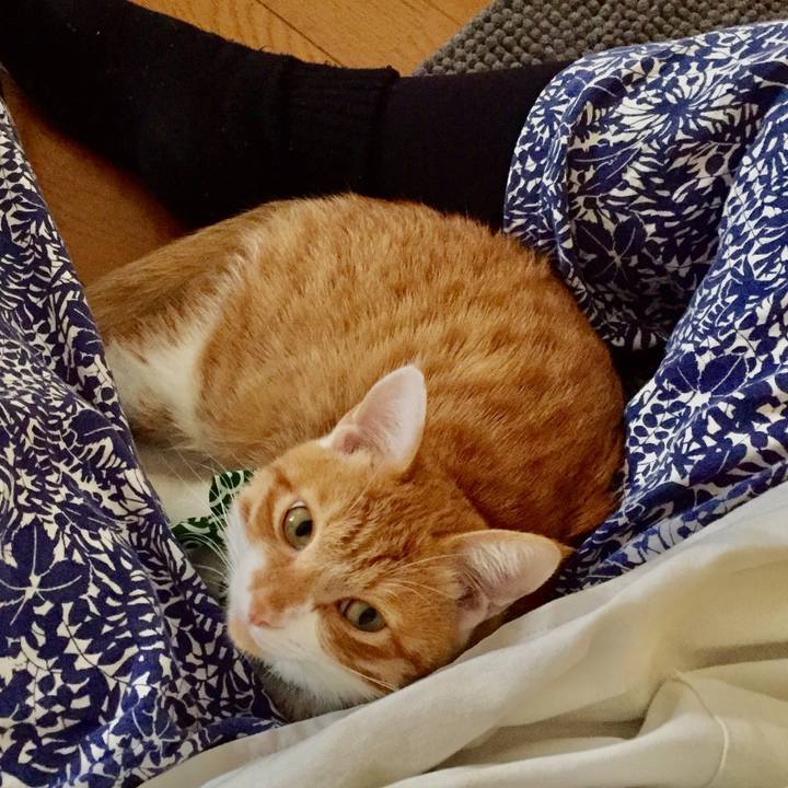 Cabb044b 00f1 4582 a858 f1c4474a8ade