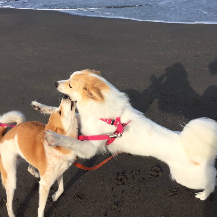 Cabb3445 084e 4298 9515 5109968366b0