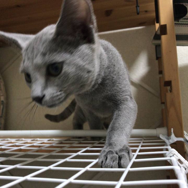 Cabc08c0 2eed 4bb9 847d 6222a26c9707