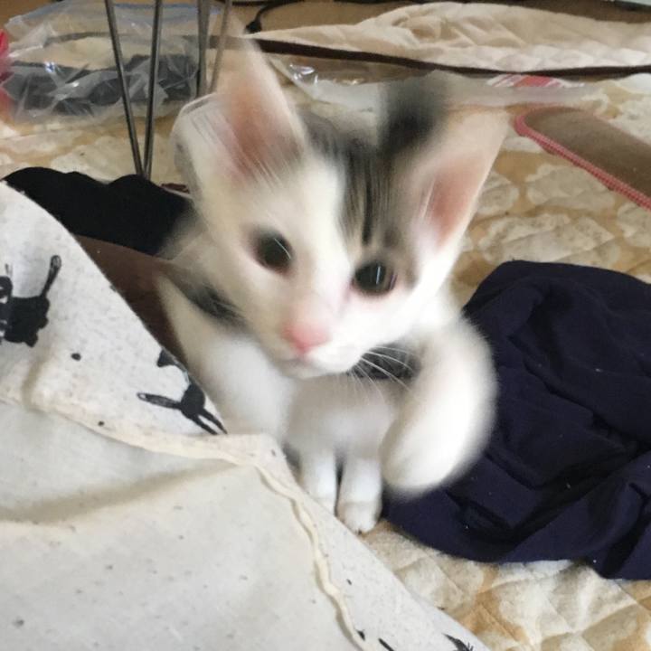 Cabc1a5d 0e06 4b6e a409 e8a6da3f1359