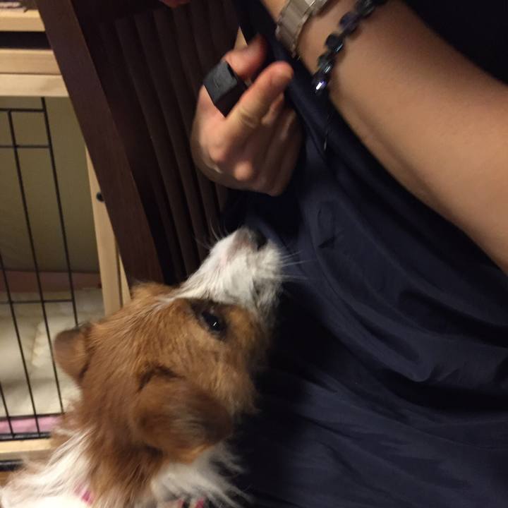 Cabcfbc9 f436 4318 97c9 fd281cd87735