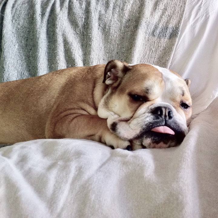 Cabde959 43f8 4b8b 94b1 23bf6049fe33