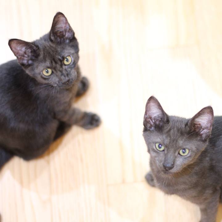 Cabe4510 464e 4841 84b2 e3db8a05557c