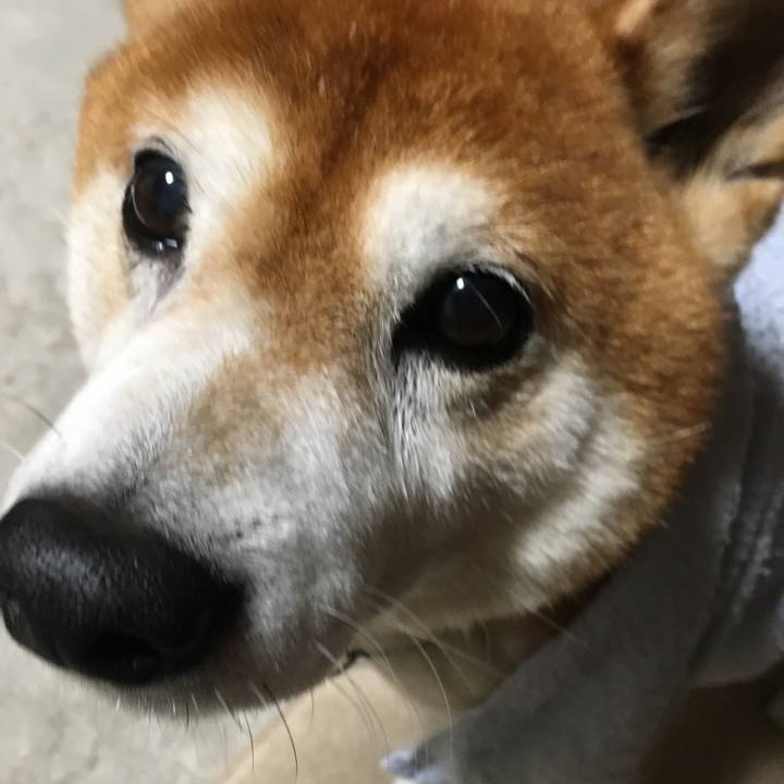 Cabefbbe 0d4e 4f0d a331 8b7512475827