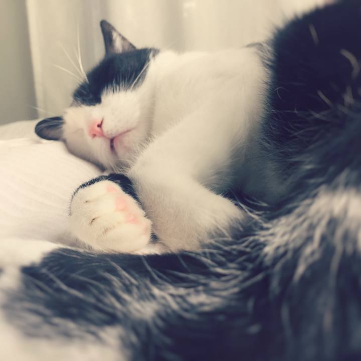 Cabf04c7 5637 4f9a a6e5 238e47d2ce9a