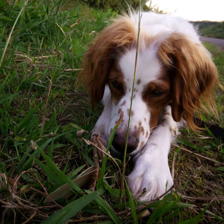 Cabf5d11 89f3 4cda b301 fbd548850cf2