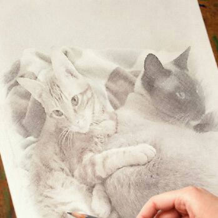 Cabf70e7 2033 4ec4 88b7 46013ff95442