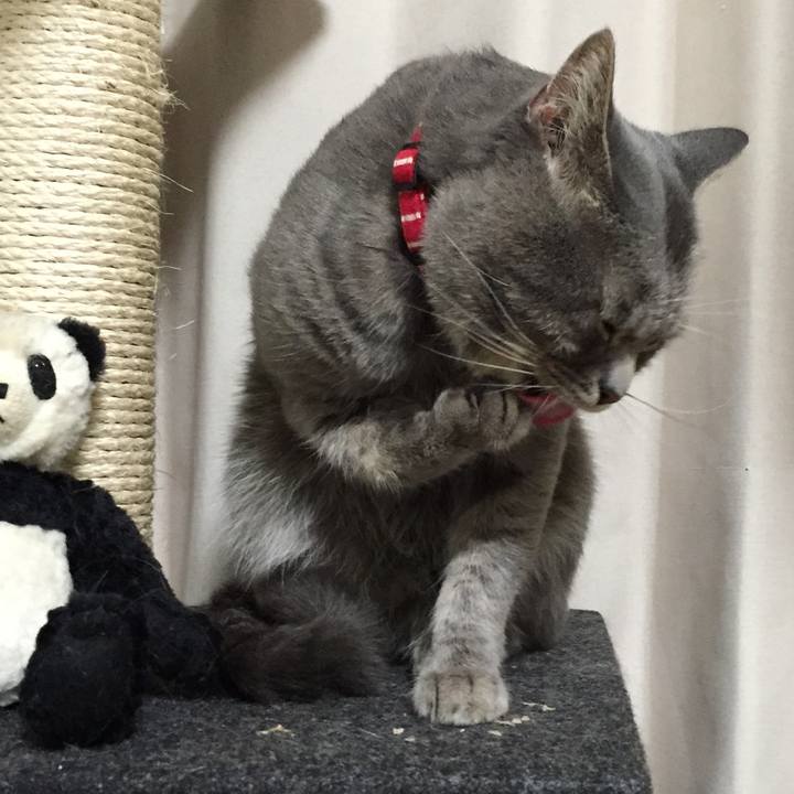 Cabf9815 9582 4801 be29 3eaaed4325a2