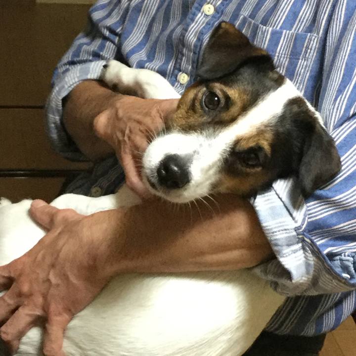 Cac0669c 4bae 4e6b b1ef 0c321644bd1f