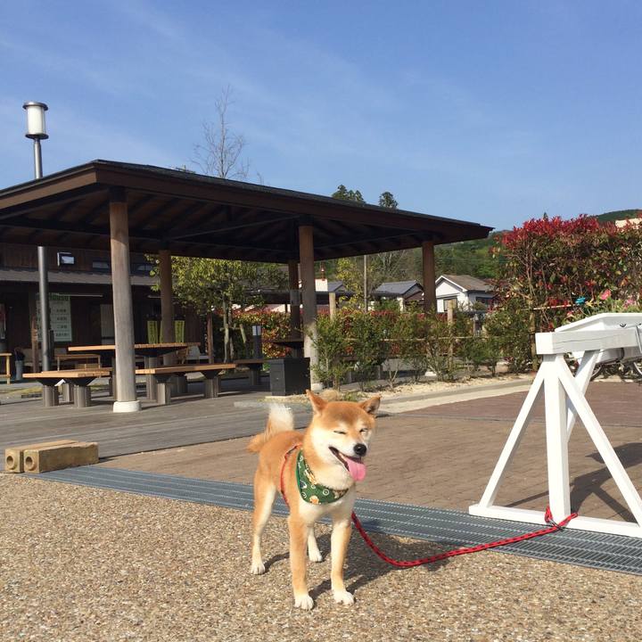 Cac0aa54 67cb 49f3 b52d b92b1c650c5d