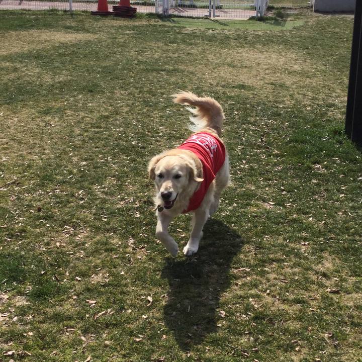 Cac0b362 c9fa 46b7 a6ac 07fc2f739a3c