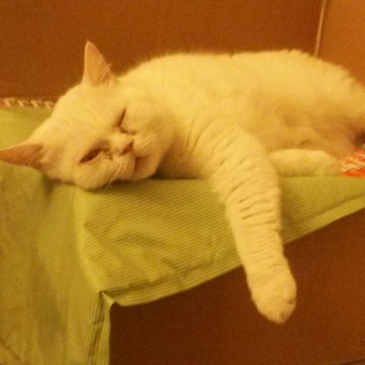 Cac17619 697e 402b 82b2 0a7c1f1f0711