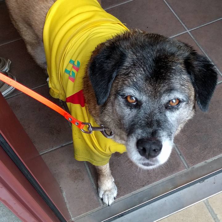 Cac182a7 3d9d 436a a02a a265b89faf19