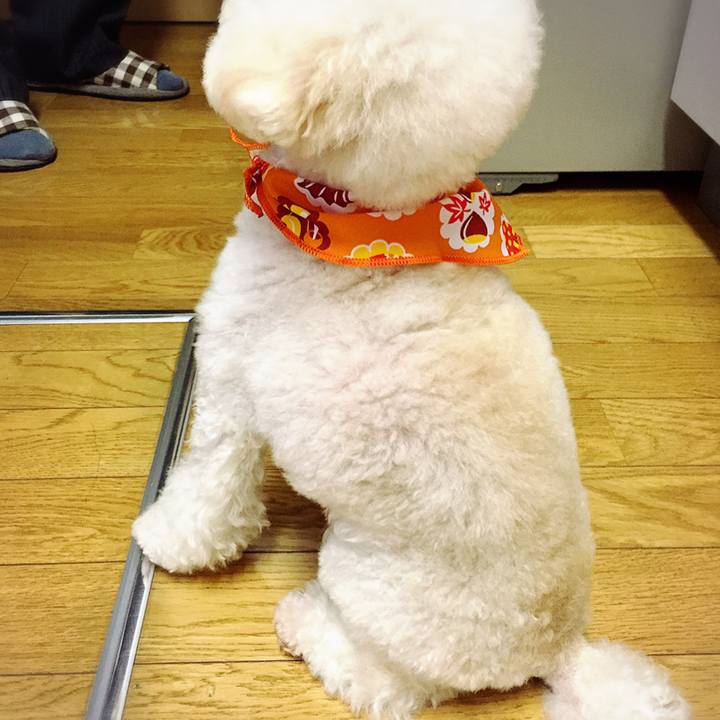 Cac19349 e2bb 4eab af72 4c819f2a797b