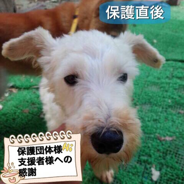 Cac19e16 0474 4a0c 99c2 9c449e0dfeb4