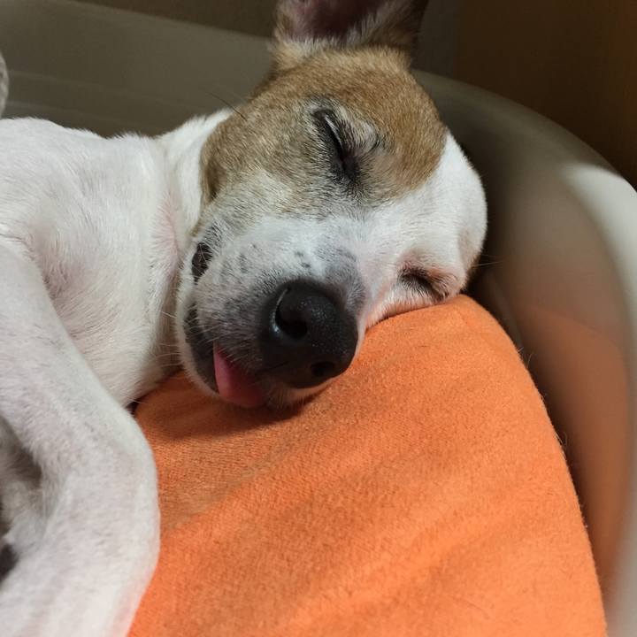 Cac2dcd4 412c 4213 b6ff 86ad73c32062