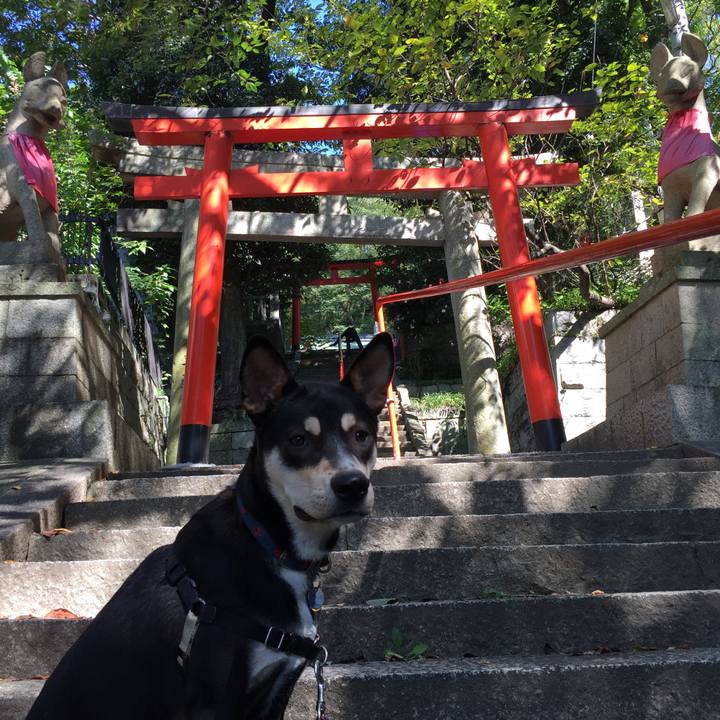 Cac2e6ce 20eb 46e0 b4ea df506349a49f