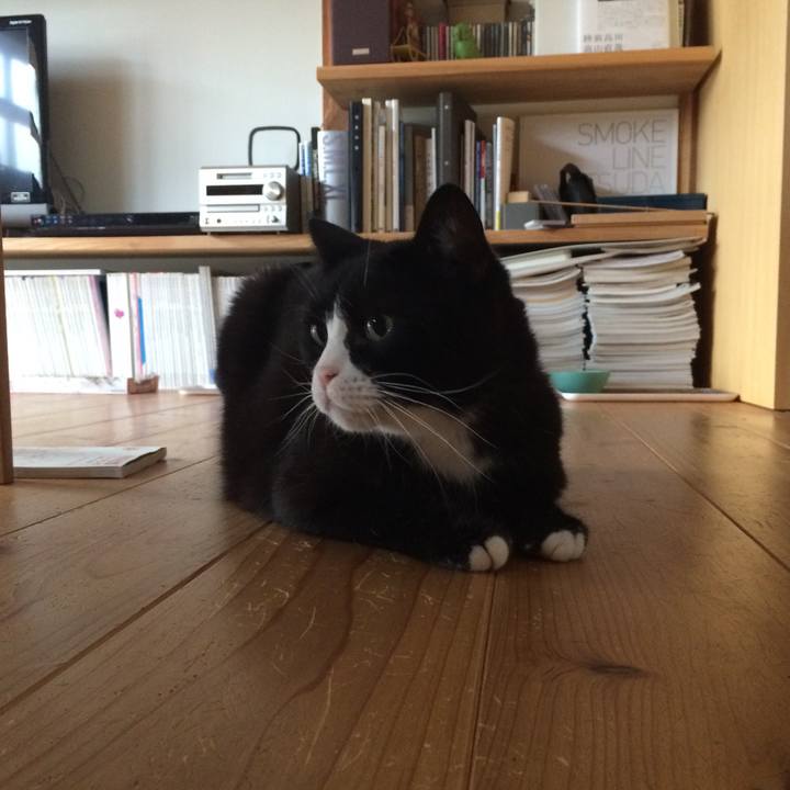 Cac33595 562a 455b 9b49 c2edaee04ced