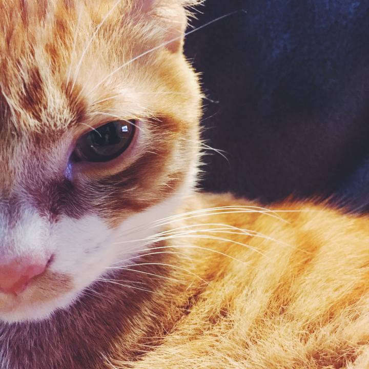 Cac36200 b4d4 4ea6 9ef3 d89eebecca00