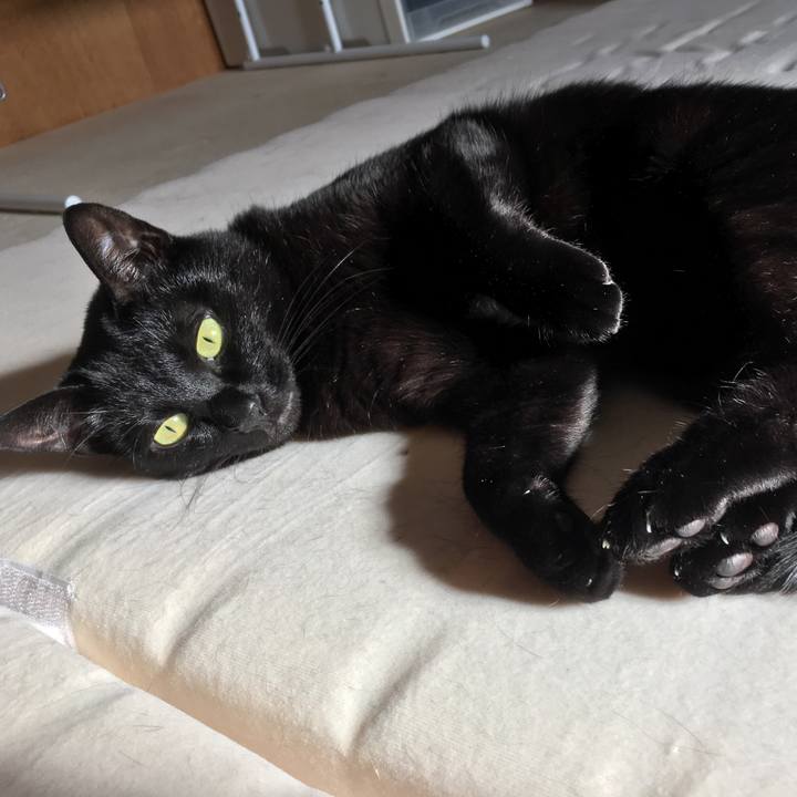 Cac3ae37 0394 40b9 b935 9162cdb03a36