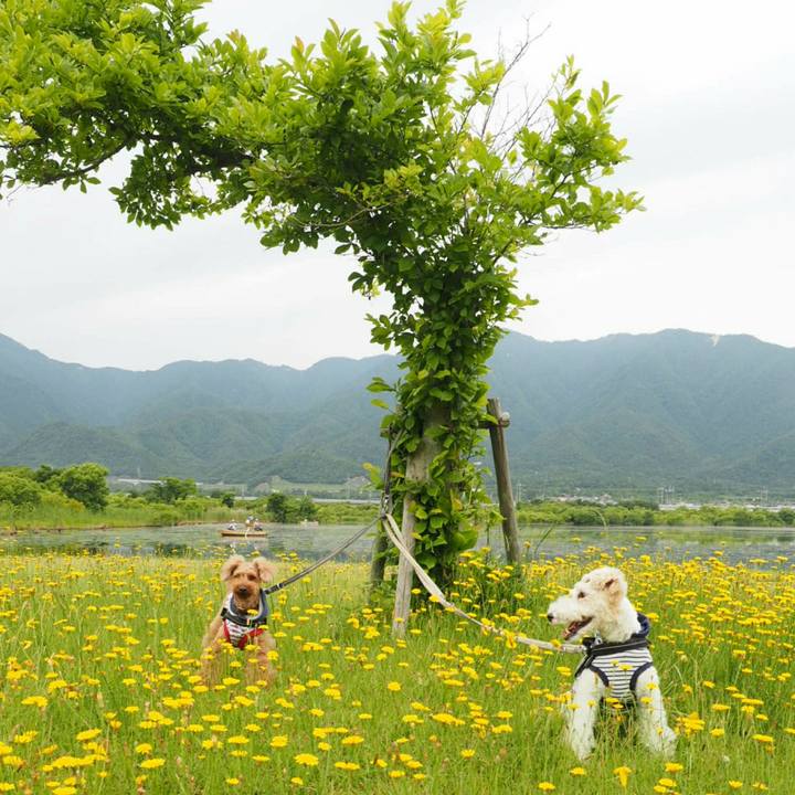 Cac3c739 95e1 4bcc 93de ac825139a4fe