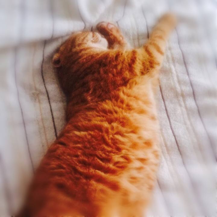 Cac49626 5ccd 4f07 a36a 1e96612faeea