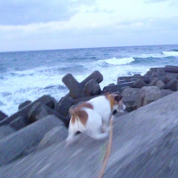 Cac599b8 039c 4fd5 95f7 110010866196