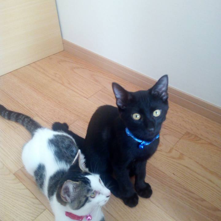 Cac5ed55 50a6 41d6 95a6 ae79b02e6664