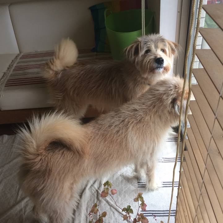 Cac61a09 598f 41e2 8472 4f61803b9cc3