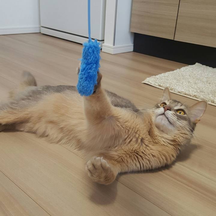 Cac644b7 666f 4869 8a62 588311b774f3