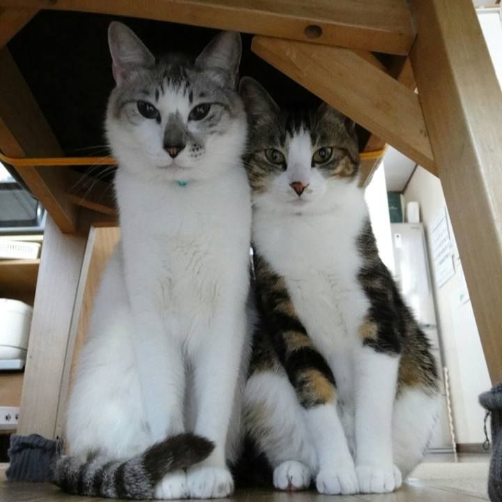 Cac67363 d1ee 46d4 a9ce e5350616bd69