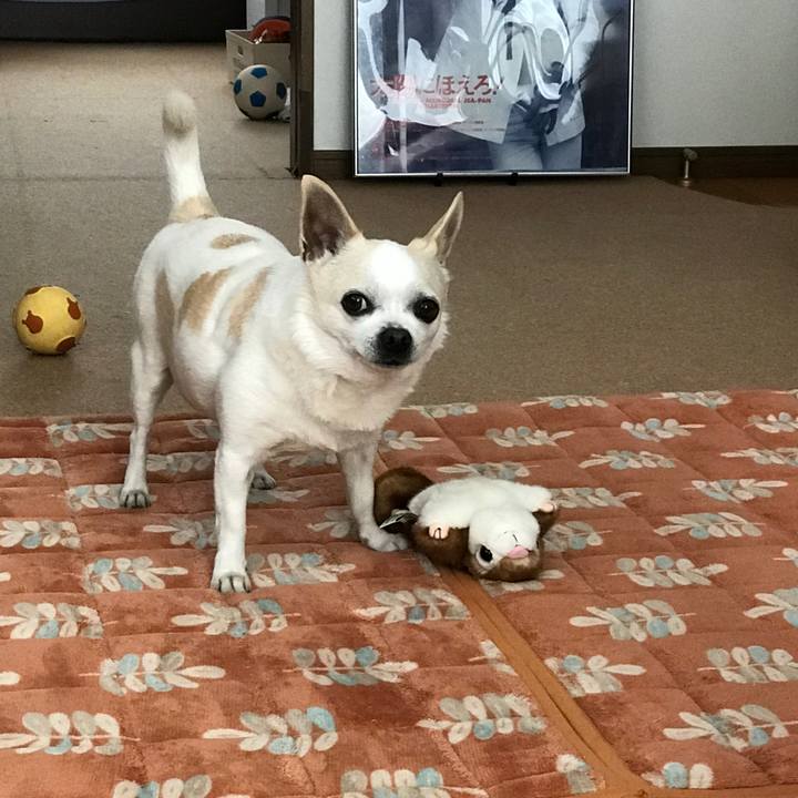 Cac6915e 4db5 42e2 a534 710e19fb1e4d