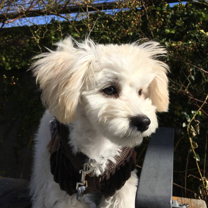 Cac6b0db 495c 4b98 b24a 9f52e6a761b5